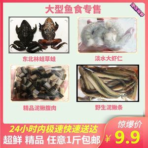 龍魚喂蝦仁消毒方法（喂養(yǎng)龍魚蝦仁時，除了選擇合適的蝦類和正確的處理方法外）