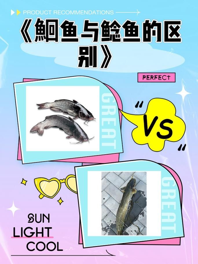黔龍魚是什么魚圖片大全