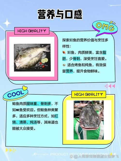 黔龍魚是什么魚圖片大全