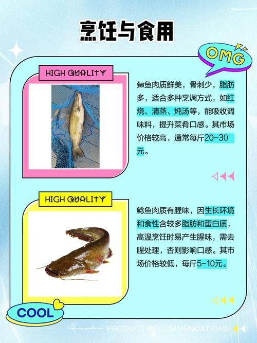 黔龍魚是什么魚圖片大全