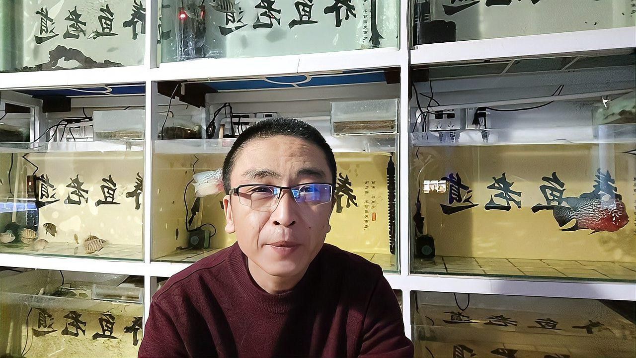 哪些品牌的水泵適合龍魚混養？ 哪些品牌的水泵適合龍魚混養？ 龍魚百科 第5張