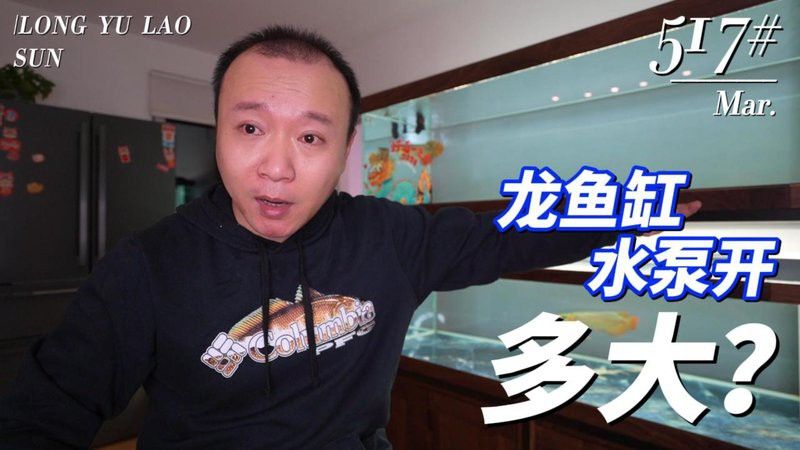 哪些品牌的水泵適合龍魚混養？ 哪些品牌的水泵適合龍魚混養？ 龍魚百科 第13張