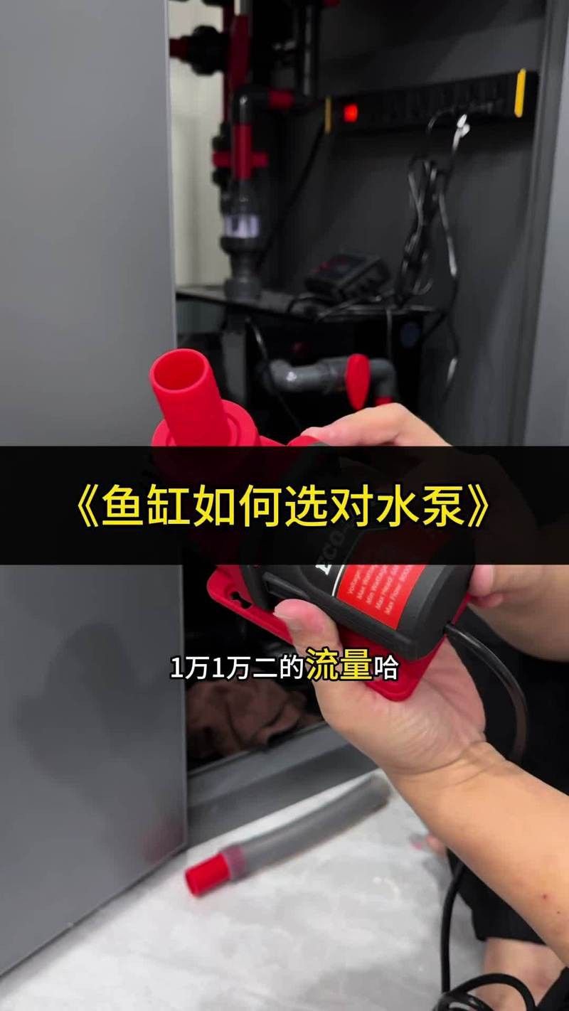 哪些品牌的水泵適合龍魚混養？ 哪些品牌的水泵適合龍魚混養？ 龍魚百科 第14張