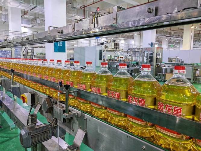 金龍魚倉(cāng)庫(kù)圖片