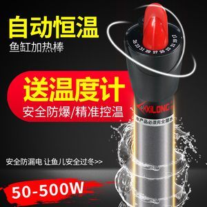 養(yǎng)龍魚一般幾月加加熱棒（養(yǎng)龍魚時，是否需要使用加熱棒）