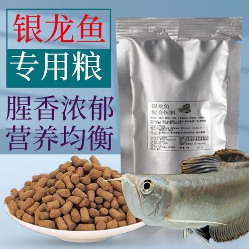 龍魚飼料魚混養可以嗎圖片 龍魚飼料魚混養可以嗎圖片 龍魚百科 第4張
