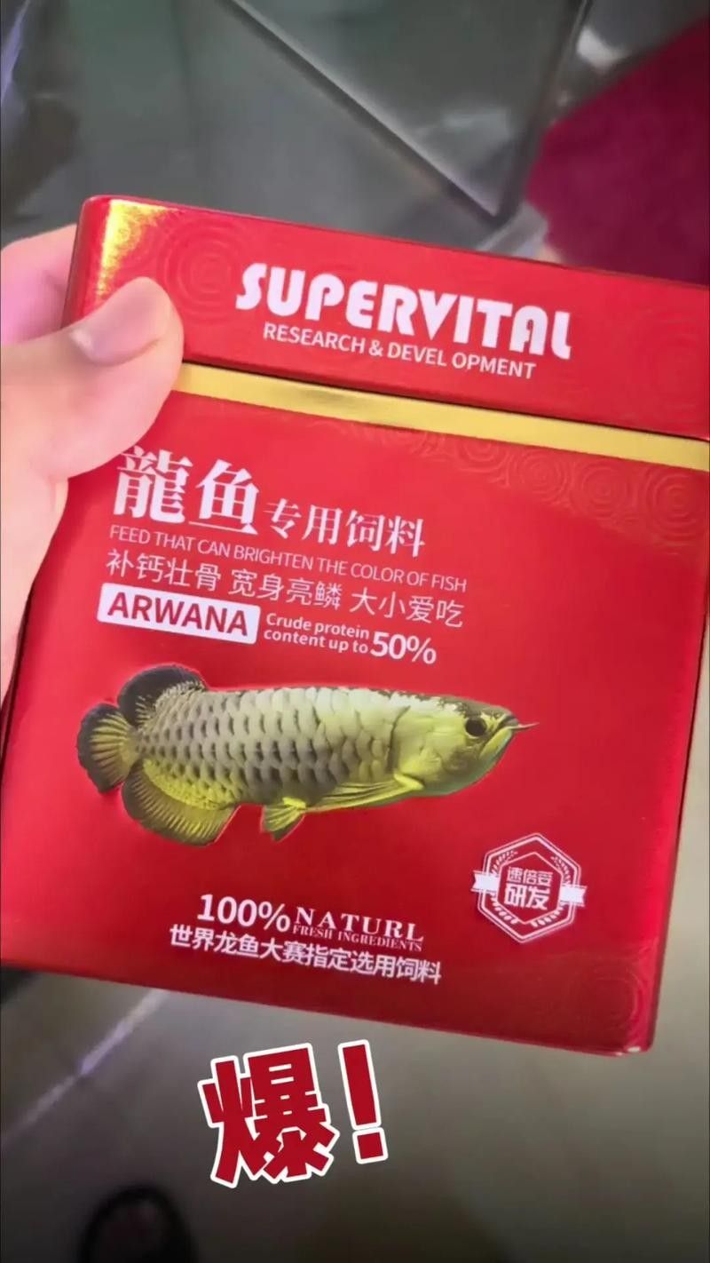 龍魚飼料魚混養可以嗎圖片 龍魚飼料魚混養可以嗎圖片 龍魚百科 第15張