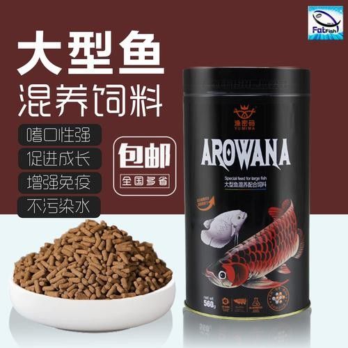 龍魚飼料魚混養可以嗎圖片 龍魚飼料魚混養可以嗎圖片 龍魚百科 第9張