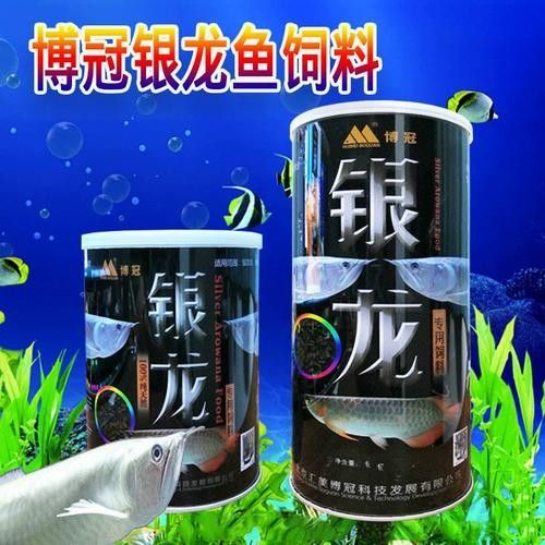 龍魚飼料魚混養可以嗎圖片 龍魚飼料魚混養可以嗎圖片 龍魚百科 第11張