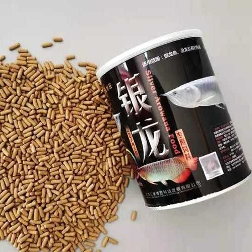 龍魚飼料魚混養可以嗎圖片 龍魚飼料魚混養可以嗎圖片 龍魚百科 第23張