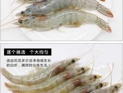 龍魚的厭食下大白片可以嗎：龍魚吃河蝦好還是吃蝦好，