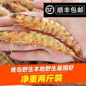 龍魚的厭食下大白片可以嗎：龍魚吃河蝦好還是吃蝦好，