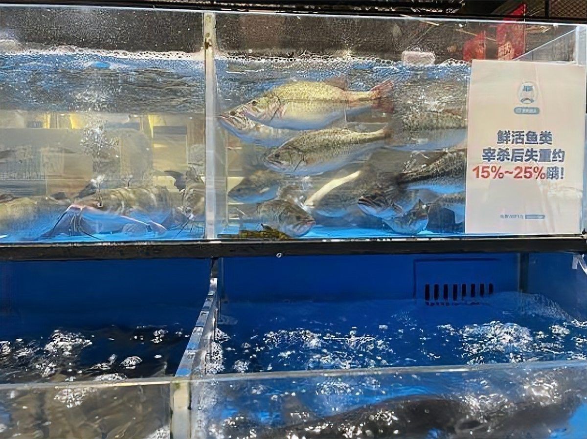 鯨魚(yú)是用肺呼吸的嗎