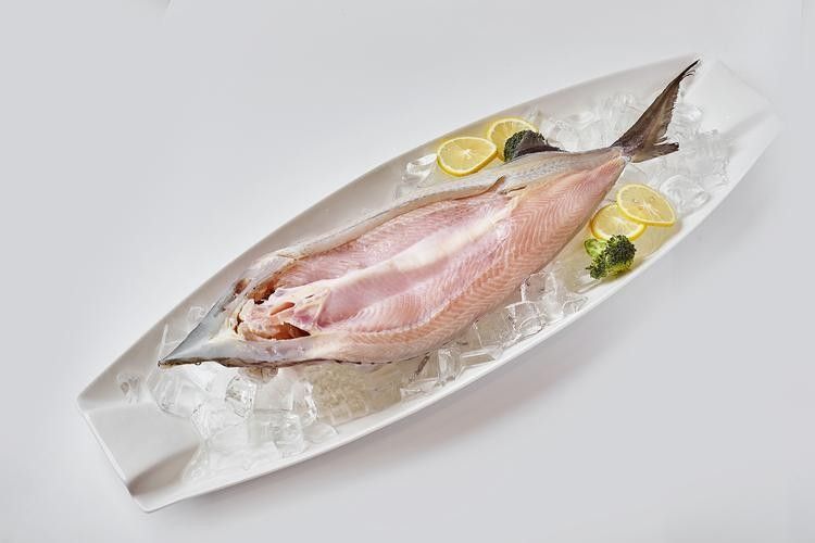 鱘龍魚圖片百度圖片