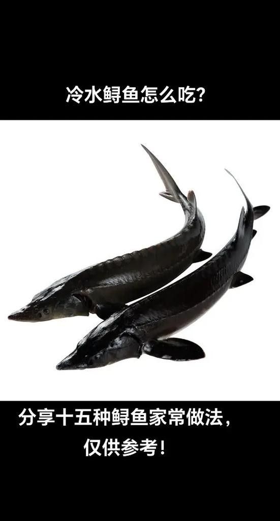鱘龍魚圖片百度圖片
