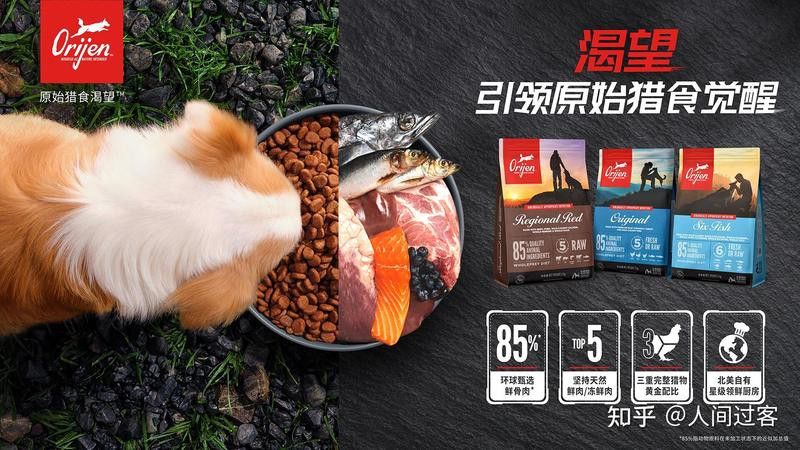 金龍魚在哪些電商平臺(tái)有官方旗艦店？ 金龍魚在哪些電商平臺(tái)有官方旗艦店？ 龍魚百科 第10張