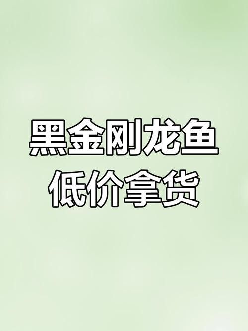 金龍魚黑金剛多少錢一條圖片