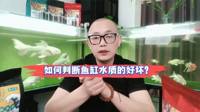 如何調整水質以適應血紅龍？