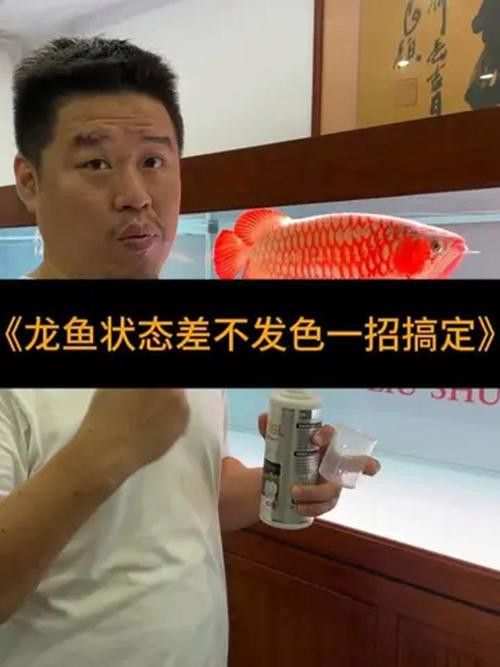 金龍魚發色過程記錄表格圖片