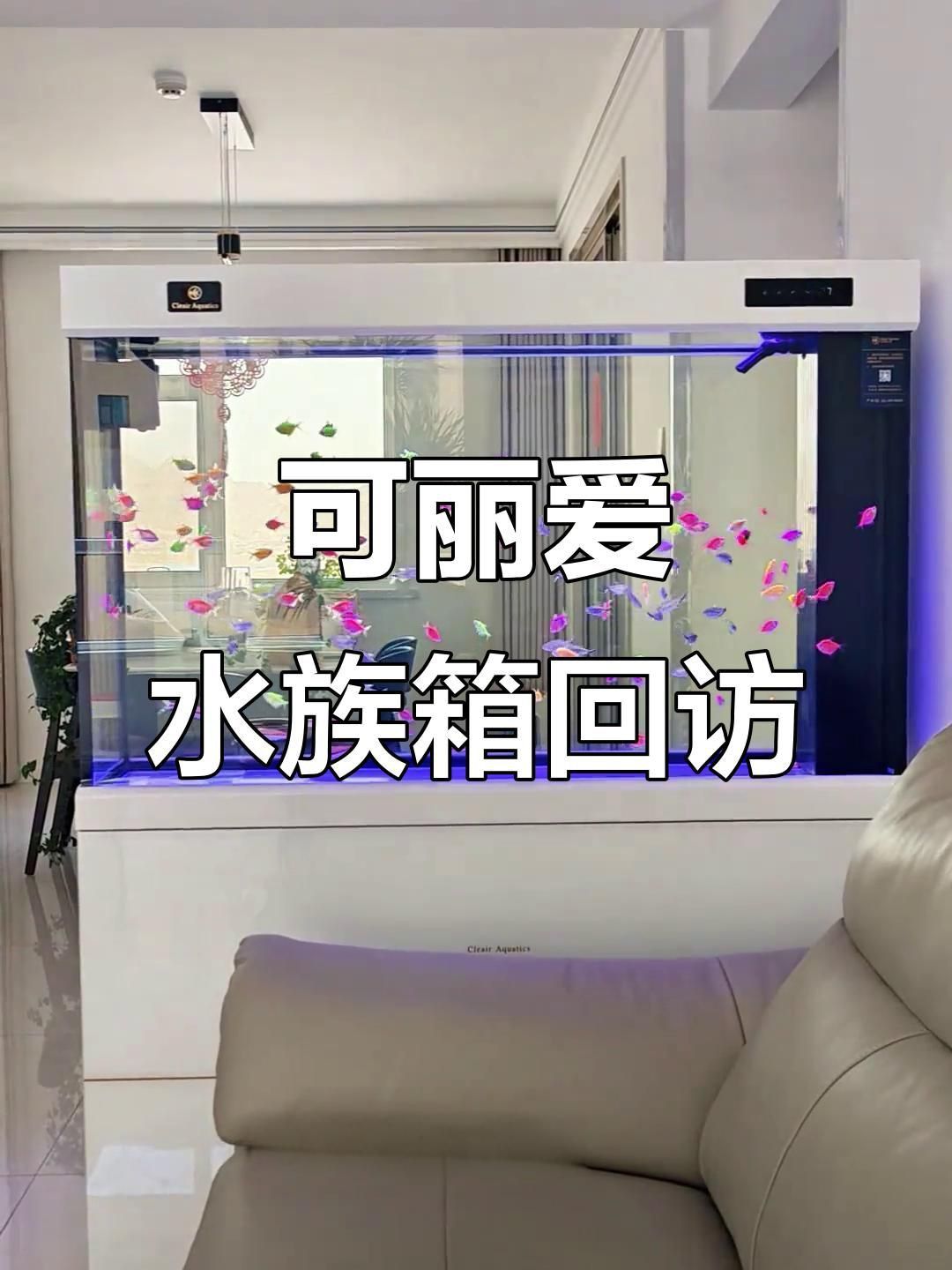 老款可麗愛魚缸怎么樣