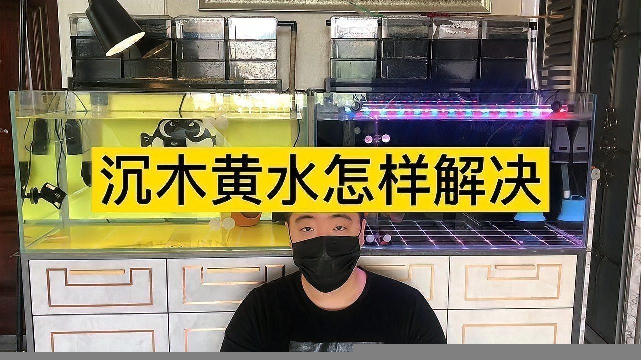 沉木需要多久清洗一次
