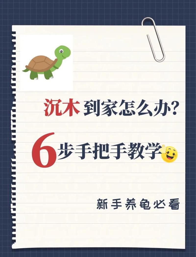 沉木需要多久清洗一次