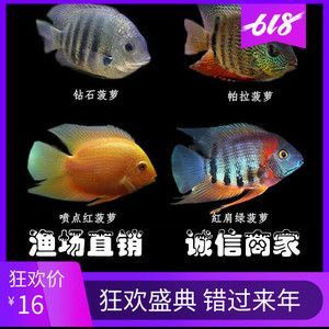 紅龍魚鱗片上的紅點是什么病？：紅龍魚鱗片上的紅點可能是由于出血病所致，出血病可能由多種因素引起