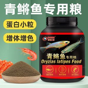 北京哪里賣紅龍魚便宜又好吃：北京哪里賣紅龍魚便宜又好？選購指南與市場推薦