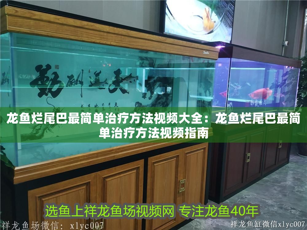 龍魚爛尾巴最簡單治療方法視頻大全：龍魚爛尾巴最簡單治療方法視頻指南
