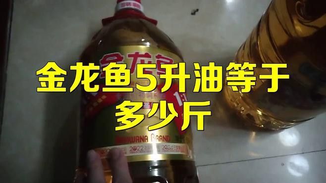 金龍魚玉米油5升價格