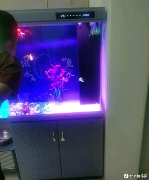龍魚魚缸哪個品牌好一點的