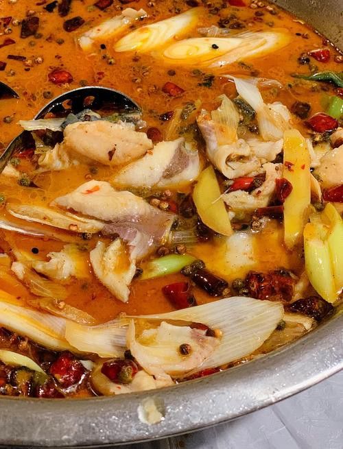 上饒龍魚專賣店