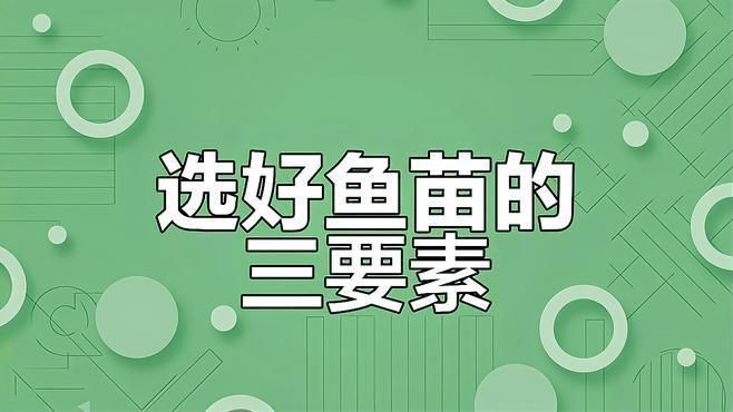 如何判斷桂魚(yú)苗的質(zhì)量？