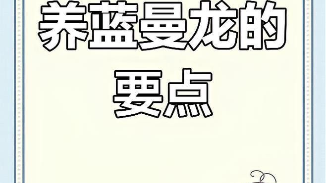 藍曼龍魚好養活嗎？