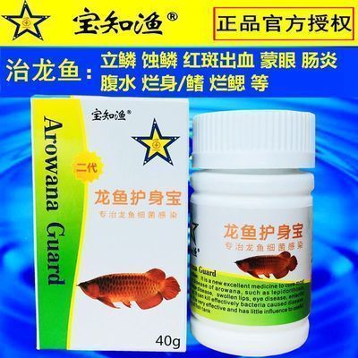 龍魚的飼養(yǎng)溫度：龍魚的飼養(yǎng)方法
