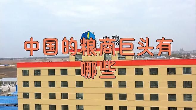 金龍魚和中糧集團的合作未來有何計劃？