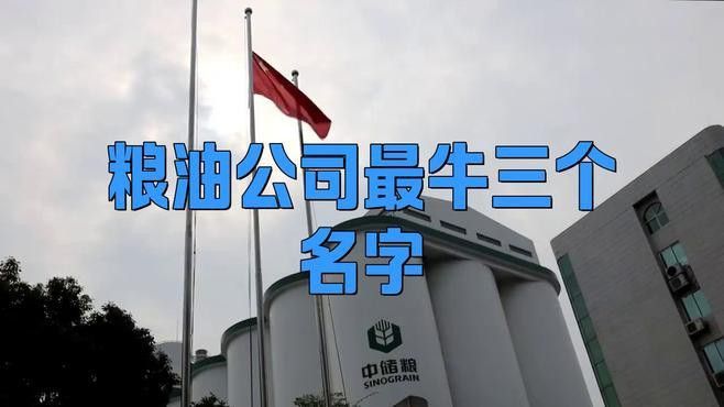 金龍魚和中糧集團的<strong><mark>合作</mark></strong>未來有何計劃？
