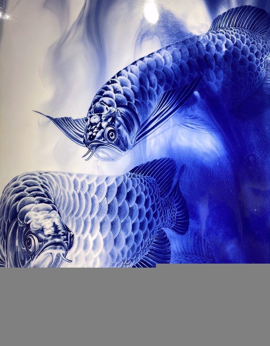 金龍魚攝影作品有哪些風格？ 金龍魚攝影作品有哪些風格？ 龍魚百科 第5張