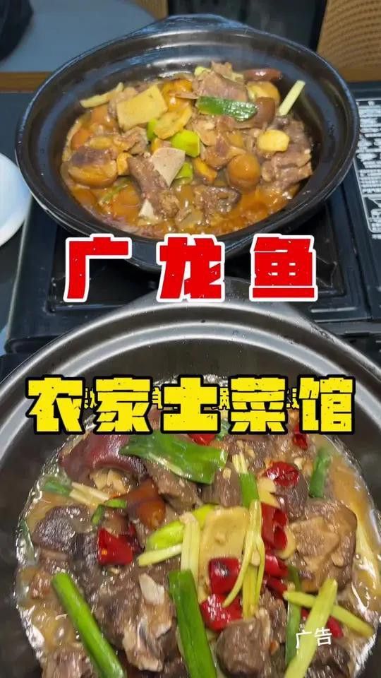 南寧廣龍魚 南寧廣龍魚 龍魚百科 第8張