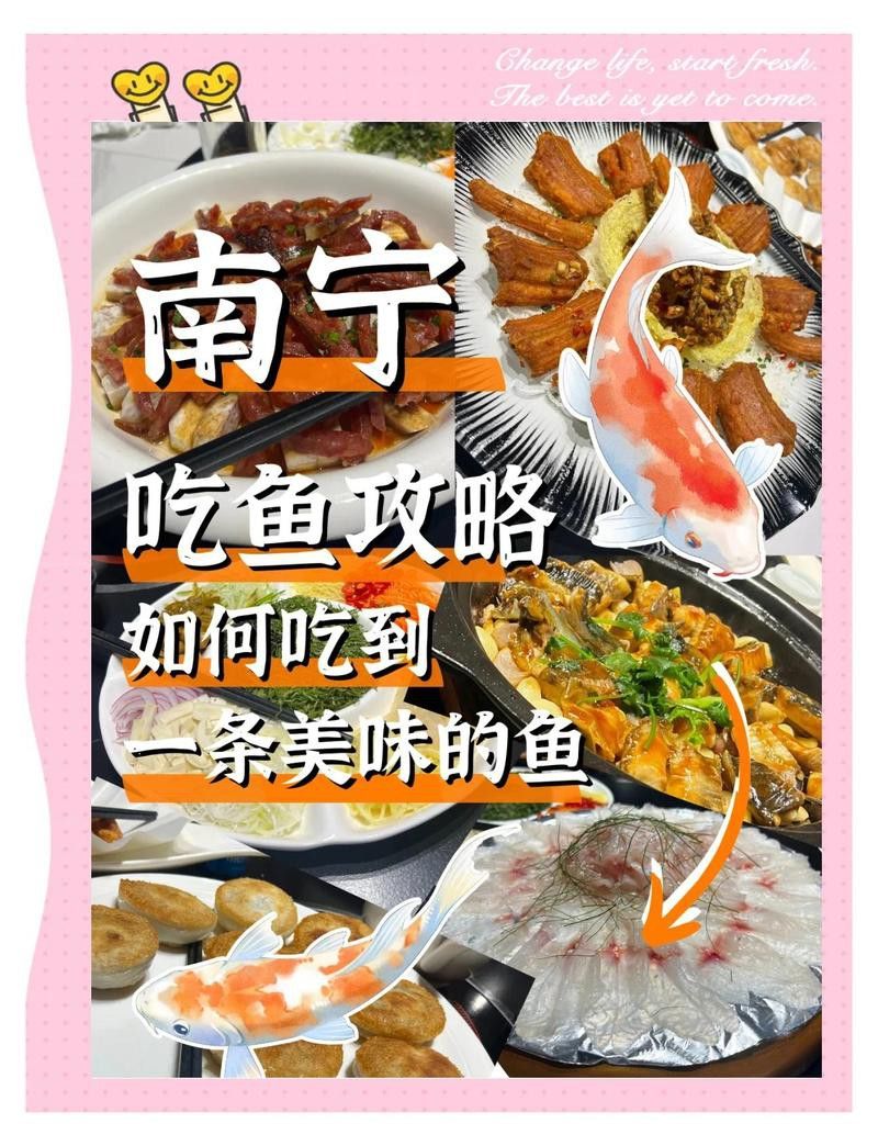 南寧廣龍魚 南寧廣龍魚 龍魚百科 第7張