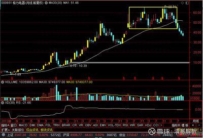 金龍魚技術分析：金龍魚的技術分析