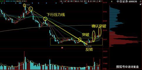 金龍魚技術分析：金龍魚的技術分析