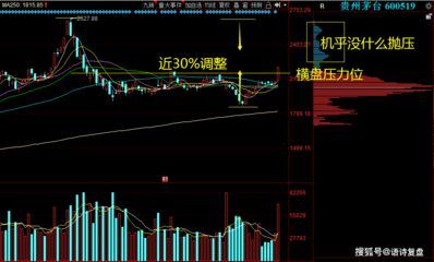金龍魚技術分析：金龍魚的技術分析