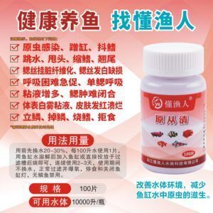 龍魚眼白膜如何治療好：龍魚眼白膜如何治療？
