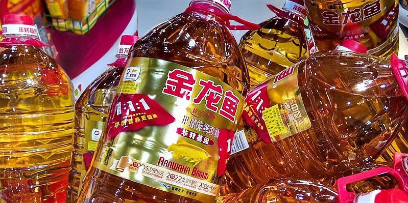 金龍魚如何應對原料成本波動？