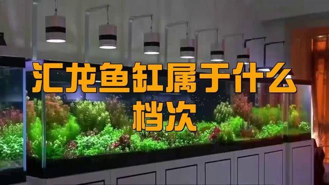 匯龍魚缸怎么樣