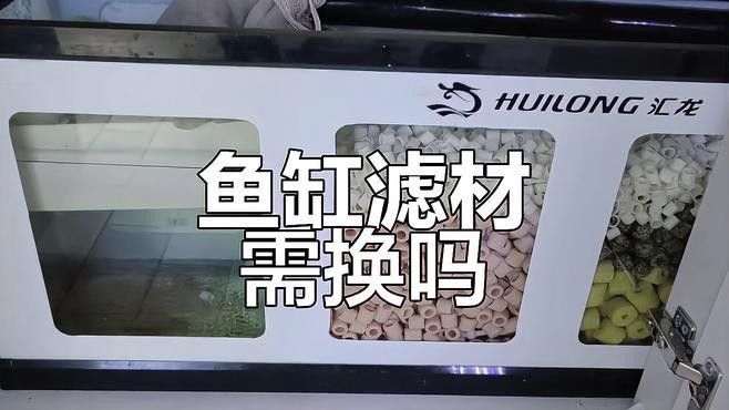 匯龍魚缸怎么樣