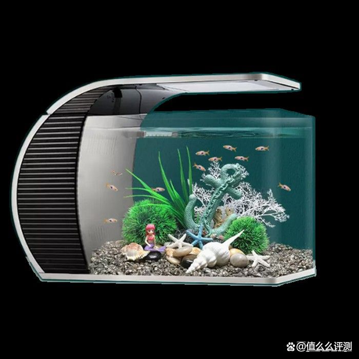 匯龍魚缸怎么樣
