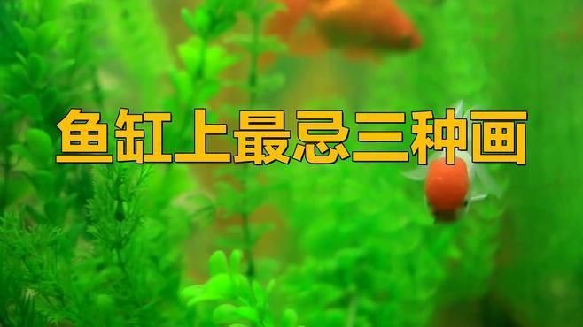 馬印魚缸最忌三種東西