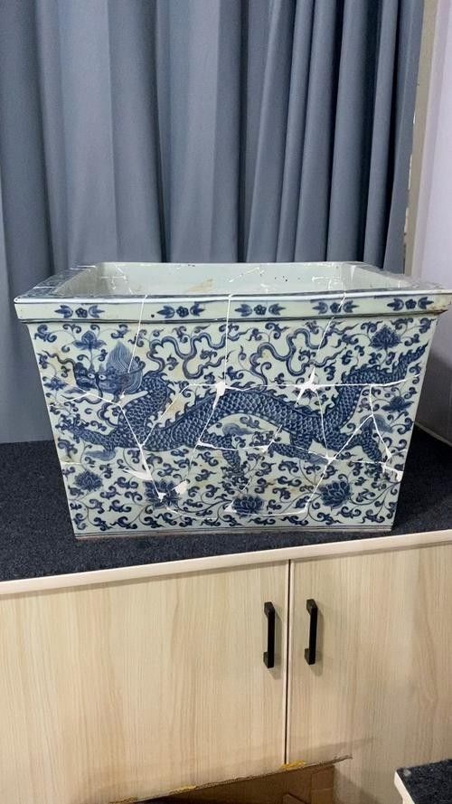 魚缸上龍圖案的最佳尺寸